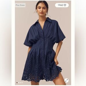 Anthropologie The Tobie Button-Front Pleated Mini Shirt Dress by Exquise